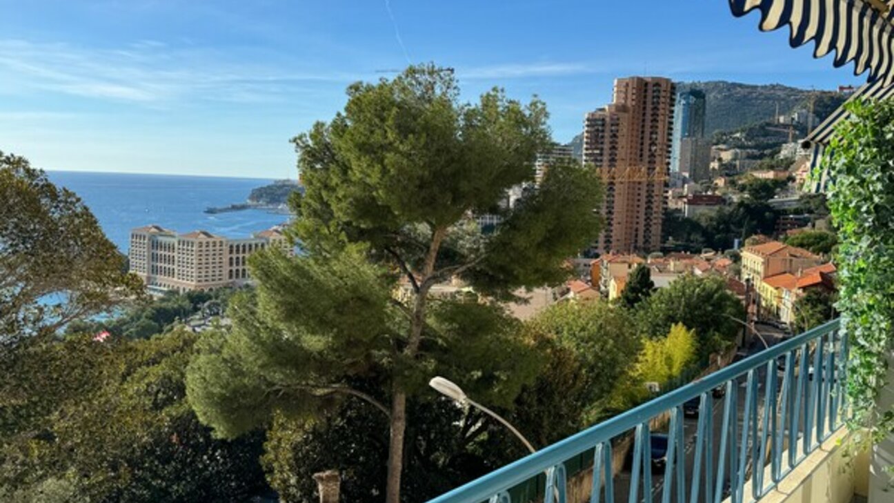 Appartement T2 à Roquebrune-Cap-Martin - 2 / 9